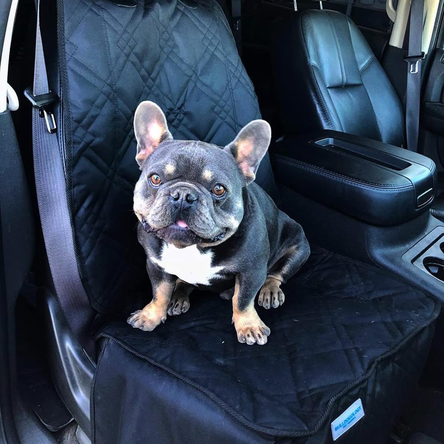 Front Car Seat Covers for Dogs - Heavy Duty Seat Cover for Cars, Trucks, Vans, and Suvs - 100% Waterproof Front Seat Cover - Passenger Car Seat Cover for Front Seat (Black)