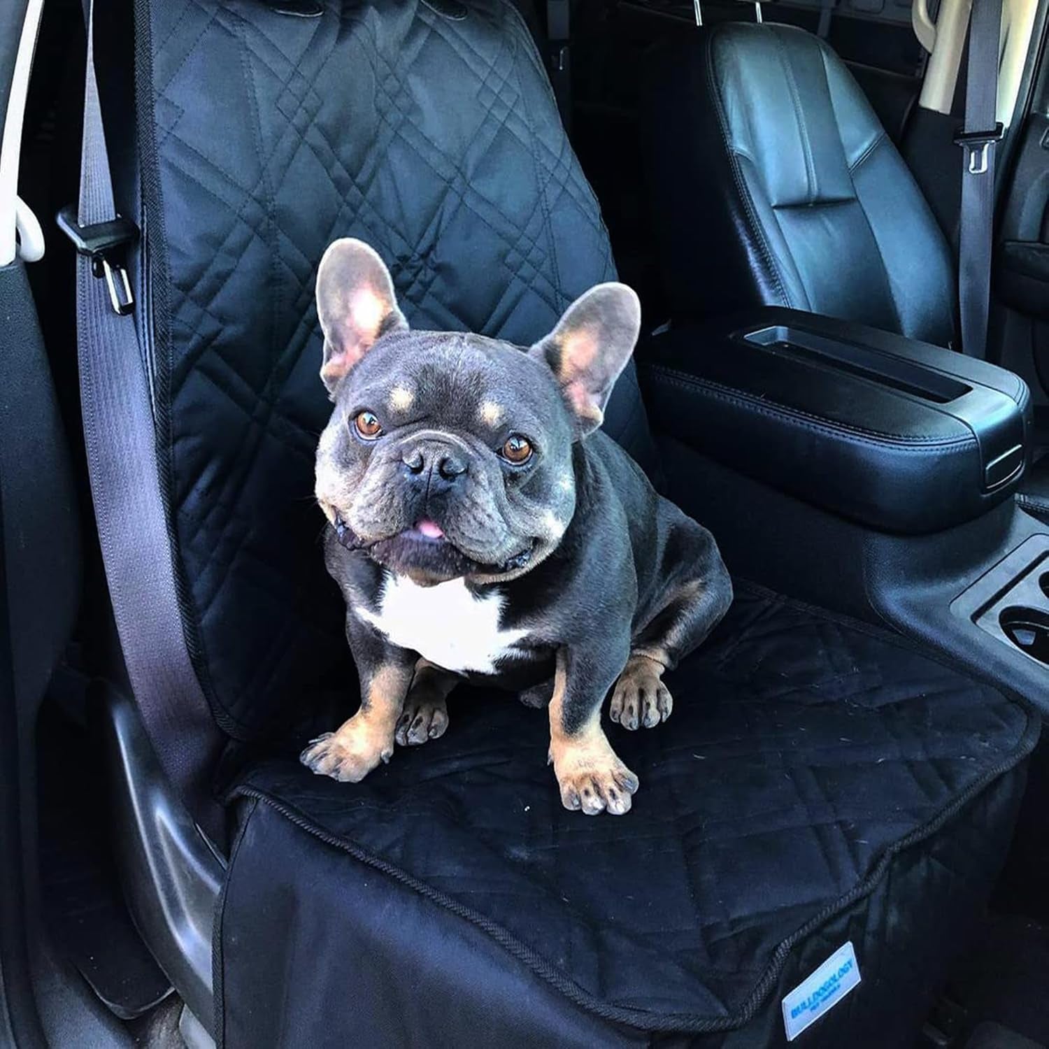 Front Car Seat Covers for Dogs - Heavy Duty Seat Cover for Cars, Trucks, Vans, and Suvs - 100% Waterproof Front Seat Cover - Passenger Car Seat Cover for Front Seat (Black)